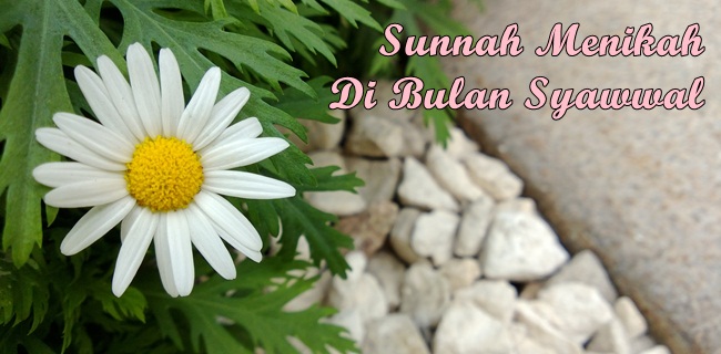 ANJURAN MENIKAH DI BULAN SYAWAL | LDII Sumatera Barat